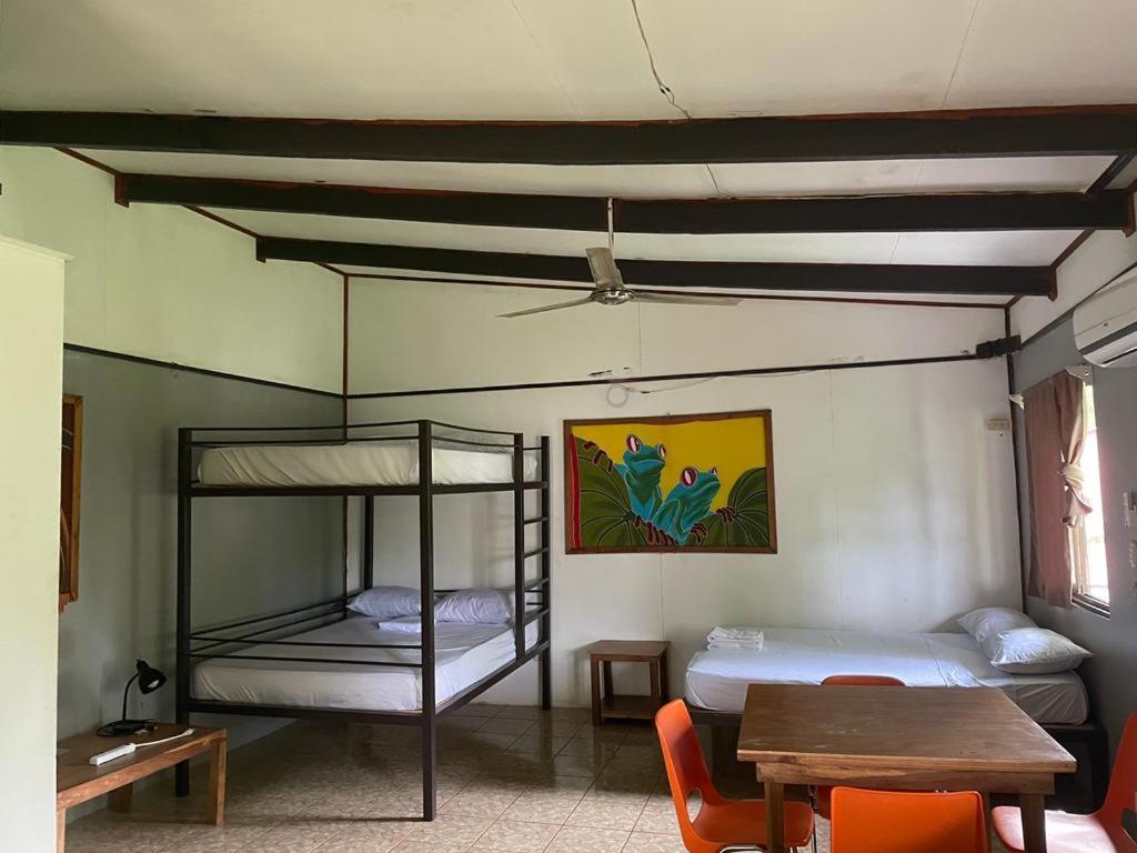 Be My Guest Cabinas Puerto Viejo de Talamanca Luaran gambar